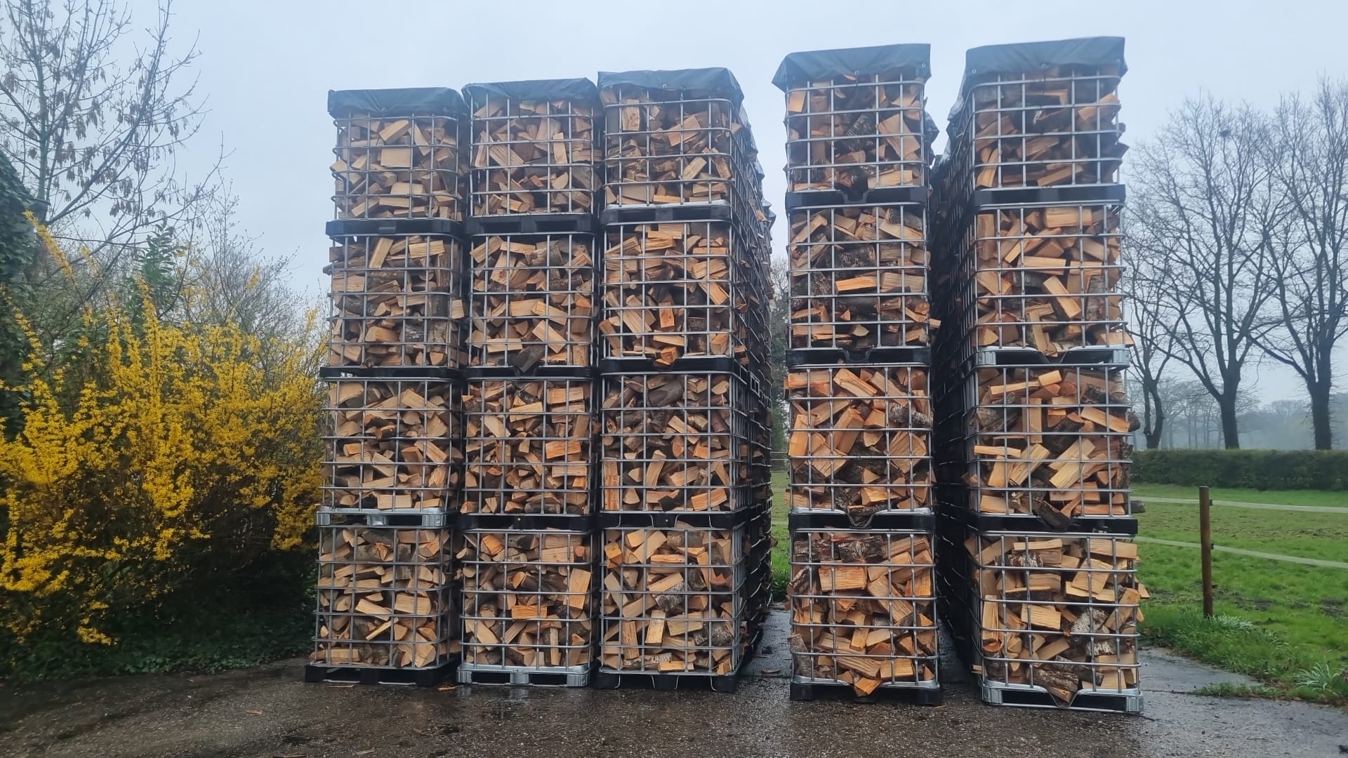 Großer Lagerbestand an trockenem Brennholz in mehreren Gitterboxen